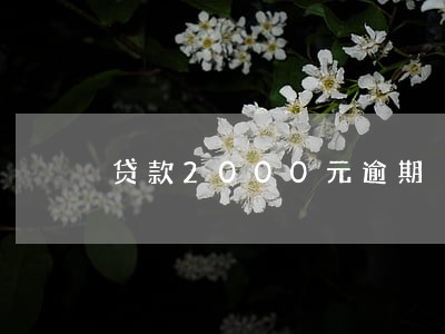 贷款2000元逾期 罚息 贷款2000元逾期 罚息